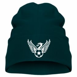 Детская шапка Liverpool and soccer ball - PrintSalon