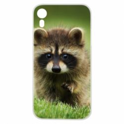 Чохол для iPhone XR Маленький єнот - PrintSalon