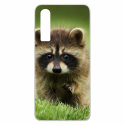Чохол для Huawei P30 Маленький єнот - PrintSalon