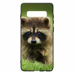 Чохол для Samsung S10+ Маленький єнот - PrintSalon