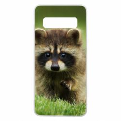 Чохол для Samsung S10 Маленький єнот - PrintSalon