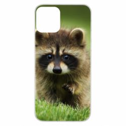 Чохол для iPhone 11 Маленький єнот - PrintSalon