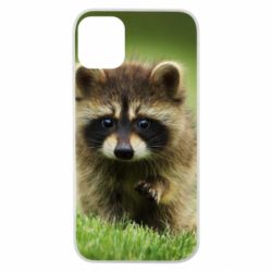 Чохол для iPhone 11 Pro Маленький єнот - PrintSalon