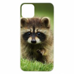 Чохол для iPhone 11 Pro Max Маленький єнот - PrintSalon