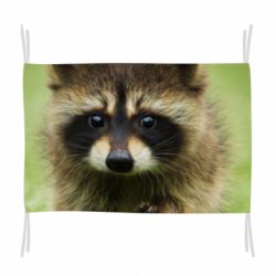 Прапор Маленький єнот - PrintSalon