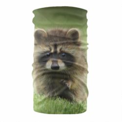 Бандана Маленький єнот - PrintSalon