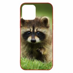 Чохол для iPhone 12 Pro Маленький єнот - PrintSalon