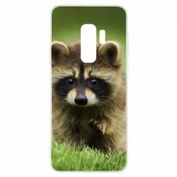 Чохол для Samsung S9+ Маленький єнот - PrintSalon