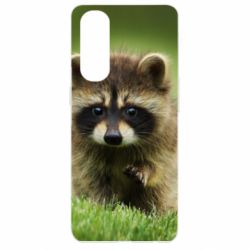 Чохол для Oppo Reno 4 Pro Маленький єнот - PrintSalon