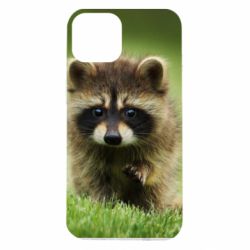 Чохол для iPhone 14 Маленький єнот - PrintSalon