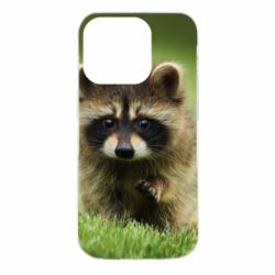 Чохол для iPhone 14 Pro Маленький єнот - PrintSalon