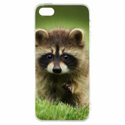 Чохол для iphone 5/5S/SE Маленький єнот - PrintSalon