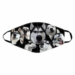 Маска багаторазова Husky Emotions - PrintSalon