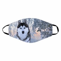 Маска багаторазова Winter Husky - PrintSalon