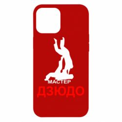 Чехол для iPhone 12 Pro Max Мастер Дзюдо - PrintSalon