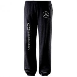 Штаны Mercedes GP Logo - PrintSalon