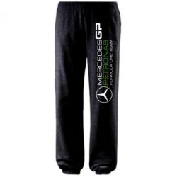 Штаны Mercedes GP Vert - PrintSalon