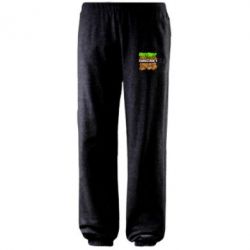 Штани Minecraft Main Logo - PrintSalon