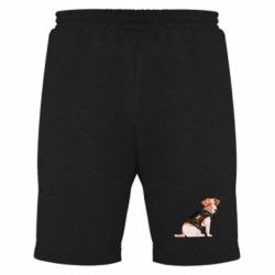 Мужские шорты Патрон