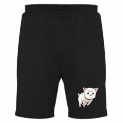 Мужские шорты Садахару арт - PrintSalon