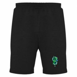 Мужские шорты Символы Слизерина - PrintSalon