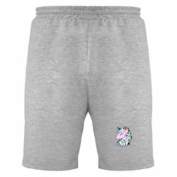 Мужские шорты Unicorn Princess - PrintSalon