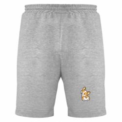Мужские шорты Winking Corgi - PrintSalon