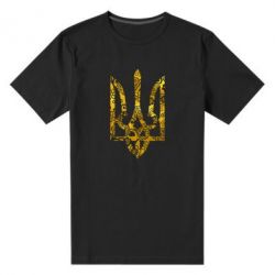 Мужская футболка премиум Герб с узорами Голограмма - PrintSalon