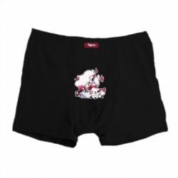 Труси-боксери Hisuian Zoroark and Zorua - PrintSalon