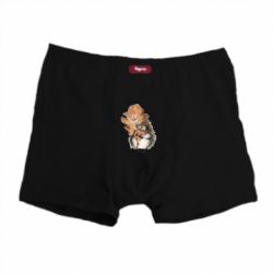 Трусы-боксеры Осенний ежик - PrintSalon