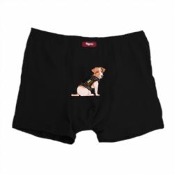 Трусы-боксеры Патрон