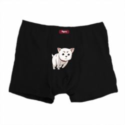 Трусы-боксеры Садахару арт - PrintSalon