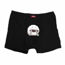 Трусы-боксеры Sleeping Wooloo - PrintSalon