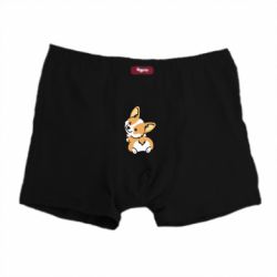 Трусы-боксеры Winking Corgi - PrintSalon