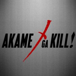 Наклейка Akame ga Kill - PrintSalon