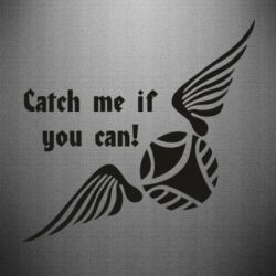 Наклейка Catch me if you can! - PrintSalon