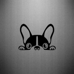 Наклейка French Bulldog Puppy