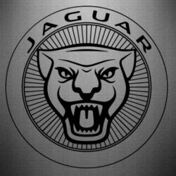 Наклейка Jaguar Logo - PrintSalon