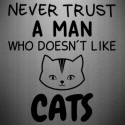 Наклейка Не любит котов - не доверяй - PrintSalon