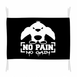 Прапор No pain no gain пінгвін - PrintSalon