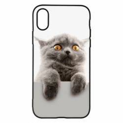 Чохол для iPhone X/Xs Original gray cat - PrintSalon