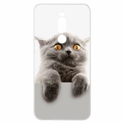 Чохол для Meizu Note 8 Original gray cat - PrintSalon
