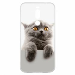 Чохол для Meizu X8 Original gray cat - PrintSalon