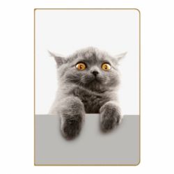 Блокнот з принтом Original gray cat - PrintSalon