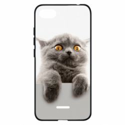Чохол для Xiaomi Redmi 6A Original gray cat - PrintSalon