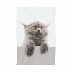 Рушник з принтом Original gray cat - PrintSalon
