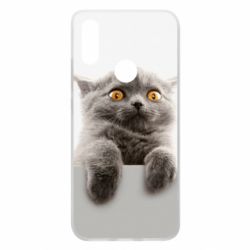 Чохол для Xiaomi Redmi 7 Original gray cat - PrintSalon