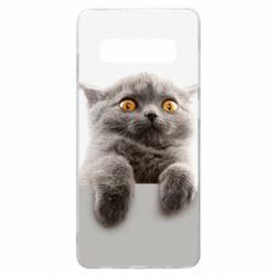 Чохол для Samsung S10+ Original gray cat - PrintSalon