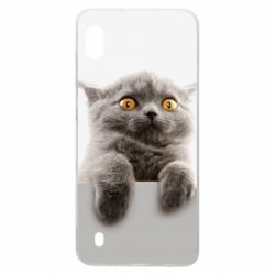 Чохол для Samsung A10 Original gray cat - PrintSalon