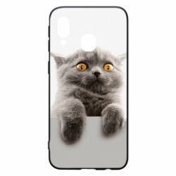 Чохол для Samsung A40 Original gray cat - PrintSalon